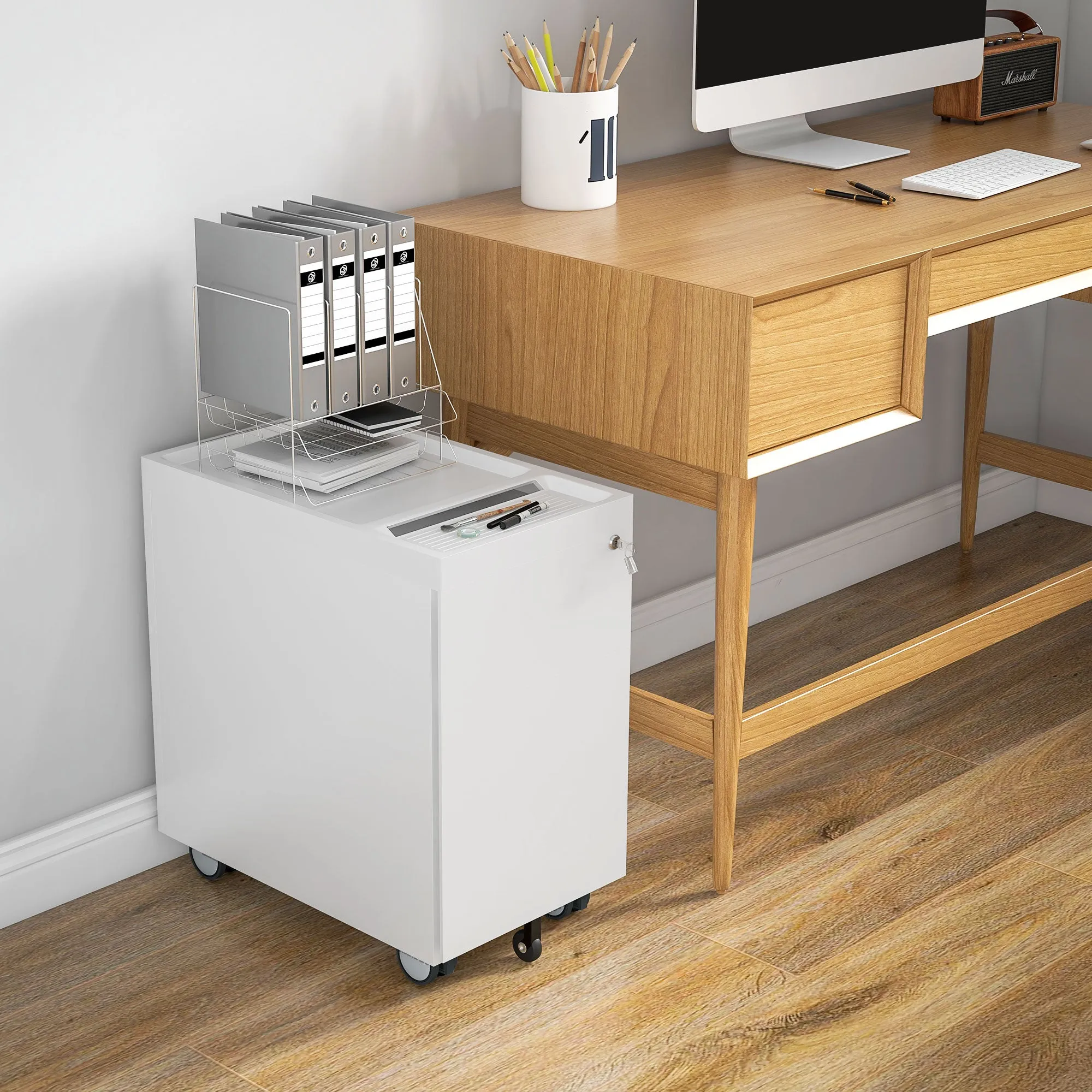 HOMCOM Office File Cabinet with 2 Drawers, Envelope Slot and Hanging Bar, Steel, 30x50x53.5 cm, White